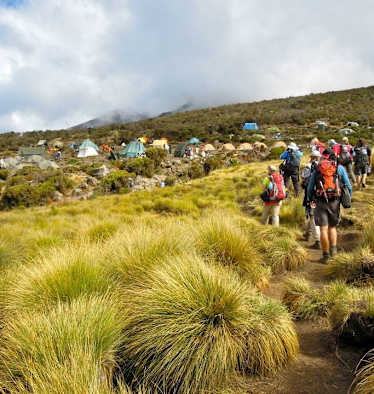 KIlimanjaro Expedition