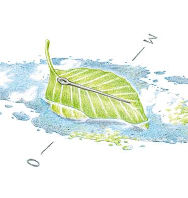 Schwimmender Kompass