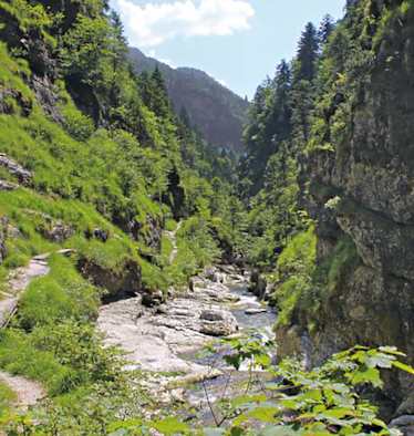 In den Chiemgauer Alpen erwartet dich die familienfreundliche Wanderung durch die Weißbachschlucht.