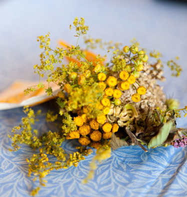 Kräuter konservieren