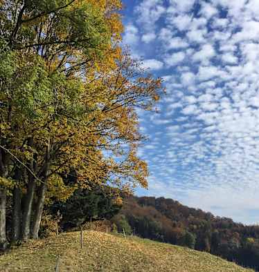 Bunte Wanderungen für den Herbst