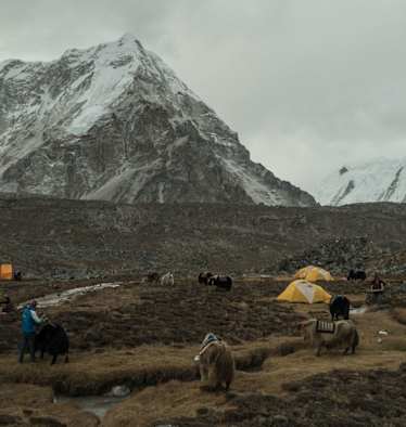 Das Basislager am Lunag Ri mit dem Himalaya Gebirge im Hintergrund
