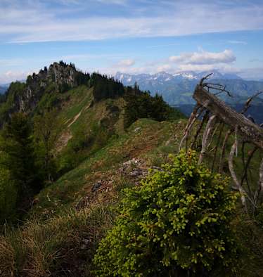 Langlackenmauer im Reichraminger Hintergebirge