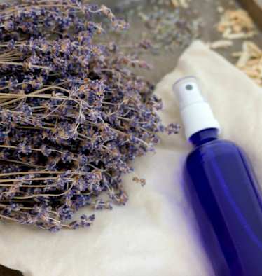 Lavendelöl mit firschem Lavendel