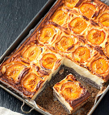 Topfen-Mohn-Marillen-Kuchen