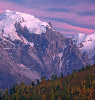 Ortler im Abendlicht