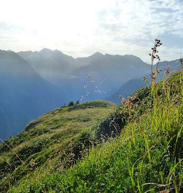 Morgenstimmung am Berg