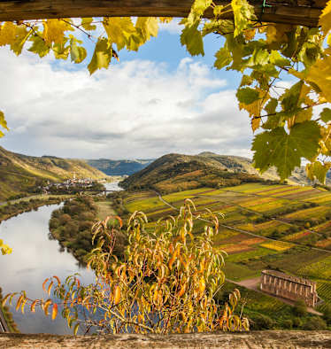 Die Moselschleife in Rheinland-Pfalz im Herbst