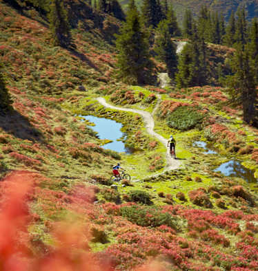Hacklberg Trail mit dem Mountainbike