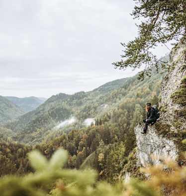 Luchstrail im Nationalpark Kalkalpen