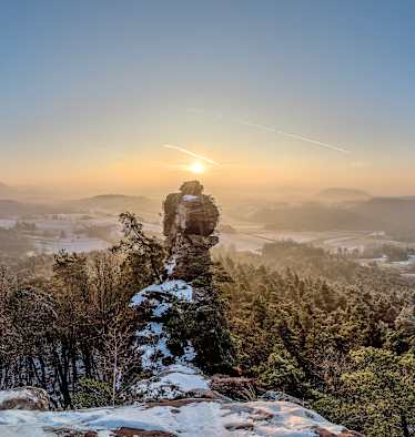Wandern im Pfälzerwald
