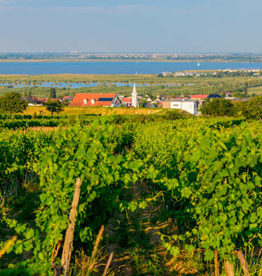 Mörbisch am Neusiedlersee