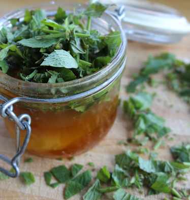 Kräuter Oxymel angerichtet mit Kräutern