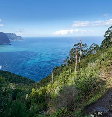 Trailrunning auf Madeira