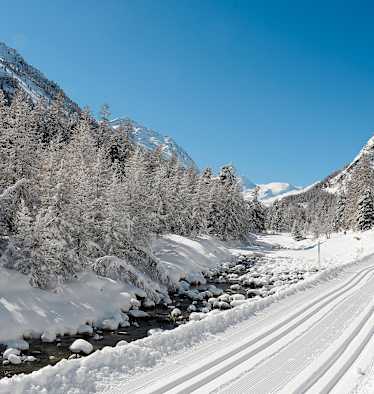 Langlaufen in Pontresina