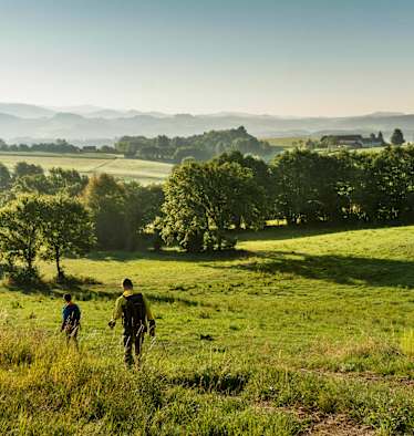 Der Goldsteig im Bayerischen Wald