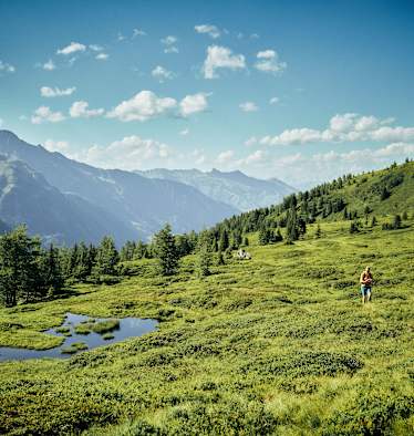 Wandern im Raurisertal Salzburg