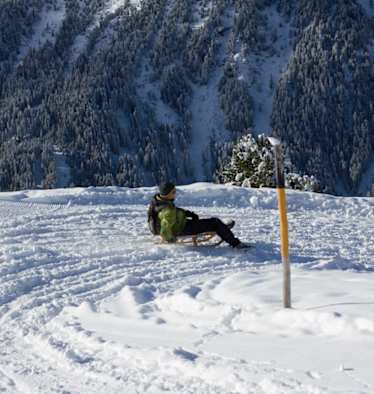 Rodeln auf der Juifenalm