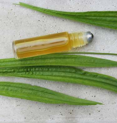 Roll-On mit Spitzwegerich