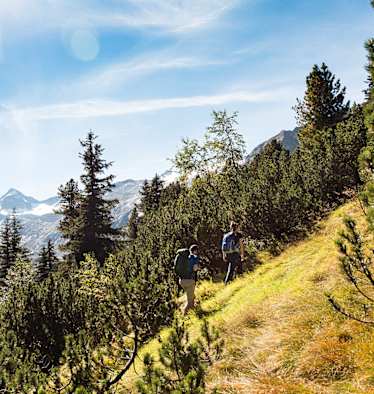 Die schönsten Plätze unserer Nationalparks