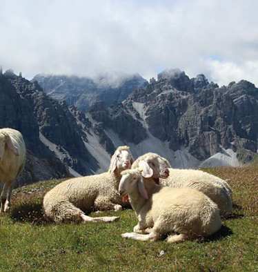 Die Saile ist ein janusköpfiges „Bergwahrzeichen“ zwischen Innsbruck und dem Stubai.