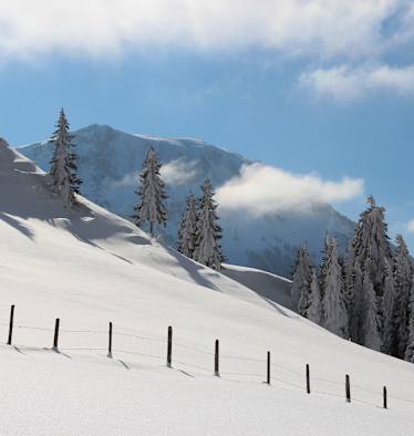 Mit Schneeschuhen durch den Winter