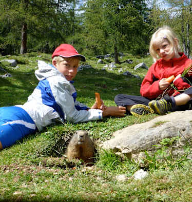 Murmeltierzeit: Wanderungen mit Pfiff