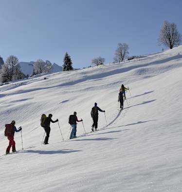 Schneeschuhwandern am Twäregg Trail