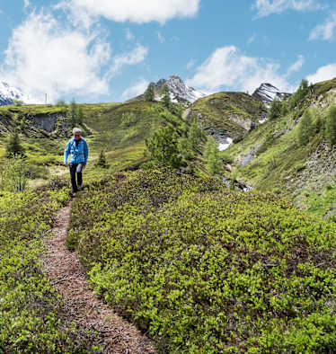 Zillertal Peter Habeler Bergwelten
