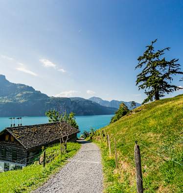 Sagenhafte Blicke auf den Vierwaldstättersee am Waldstätterweg