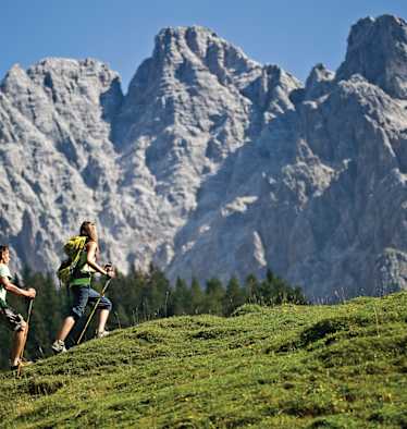 Überall gibt es was zu entdecken. 