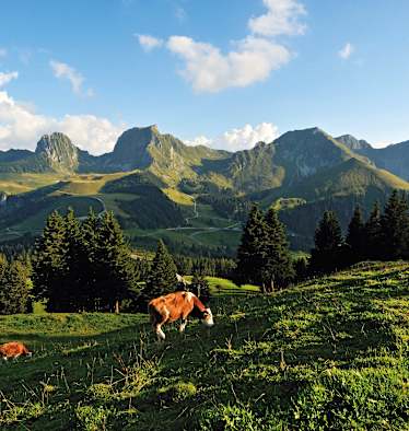 Schweiz Naturpark Gantrisch im Kanton Bern