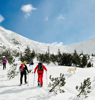 Rottenmanner und Wölzer Tauern