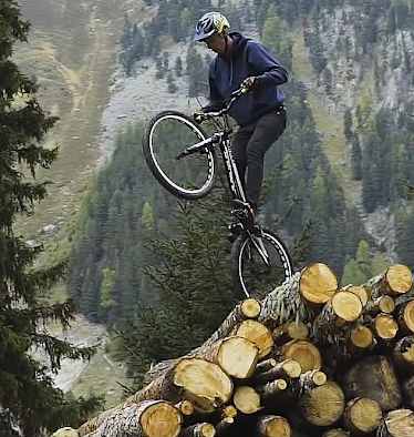 Sehnsuchtsort Wald: 8 Wanderungen