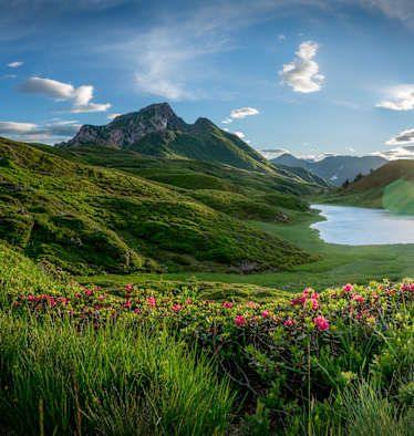 Der Zollnersee in Kärnten, saftige Almwiesen