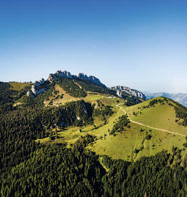 Berglandschaft Bergader Privatkäserei
