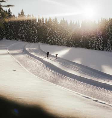 Langlaufen ist eine der gesündesten Winteraktivitäten.