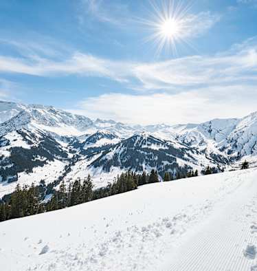 Ausblick auf die Berglandschaft.