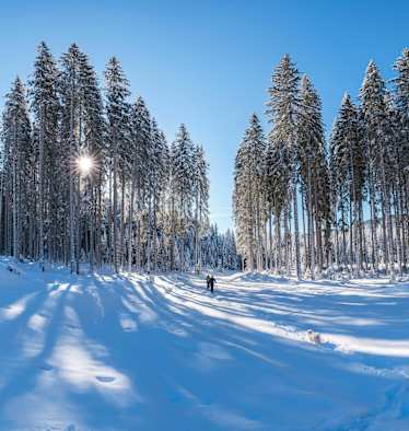 Winterwandern vor schönster Kulisse