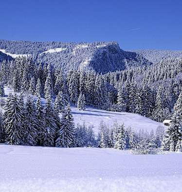 Hörnergruppe: Die verschneiten Allgäuer Vorberge in Bayern
