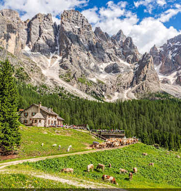 Eine Almhütte mit einer Sonnenterrasse und grasenden Kühen vor einer schönen Bergkulisse.