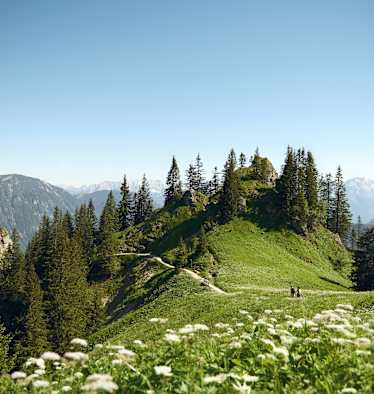 Ammergauer Bergwelten
