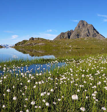 Lasörling Höhenweg in Osttirol: Am Arnitzsee im Virgental