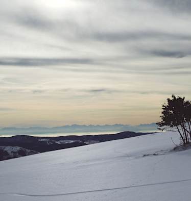 Belchengipfel im Schwarzwald