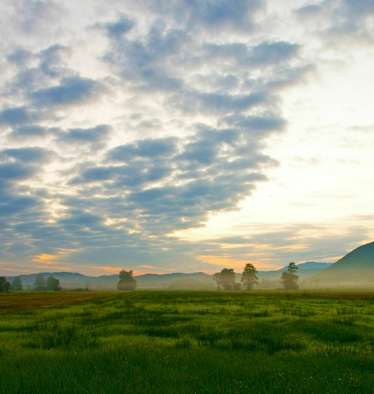 Bergener Moos im bayerischen Chiemgau