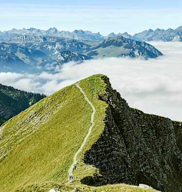 Wandern Niesen Schweiz Bergwelten