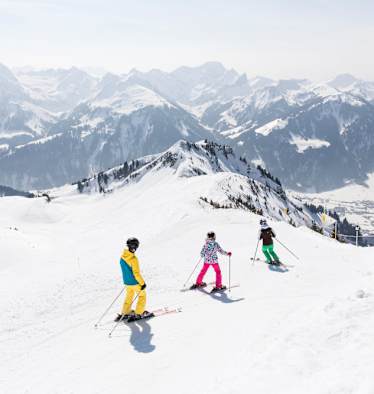 Bergwelten Skigebiete