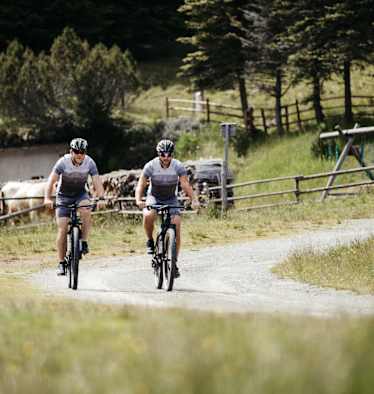 Zwei Radfahren, fahren über einen Radweg an Kühen vorbei