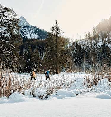 Bergwelten Tourenplanung Wandern Allgäu