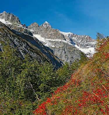 Höhenwege im Wallis: Wandern in der Bietschhorngruppe